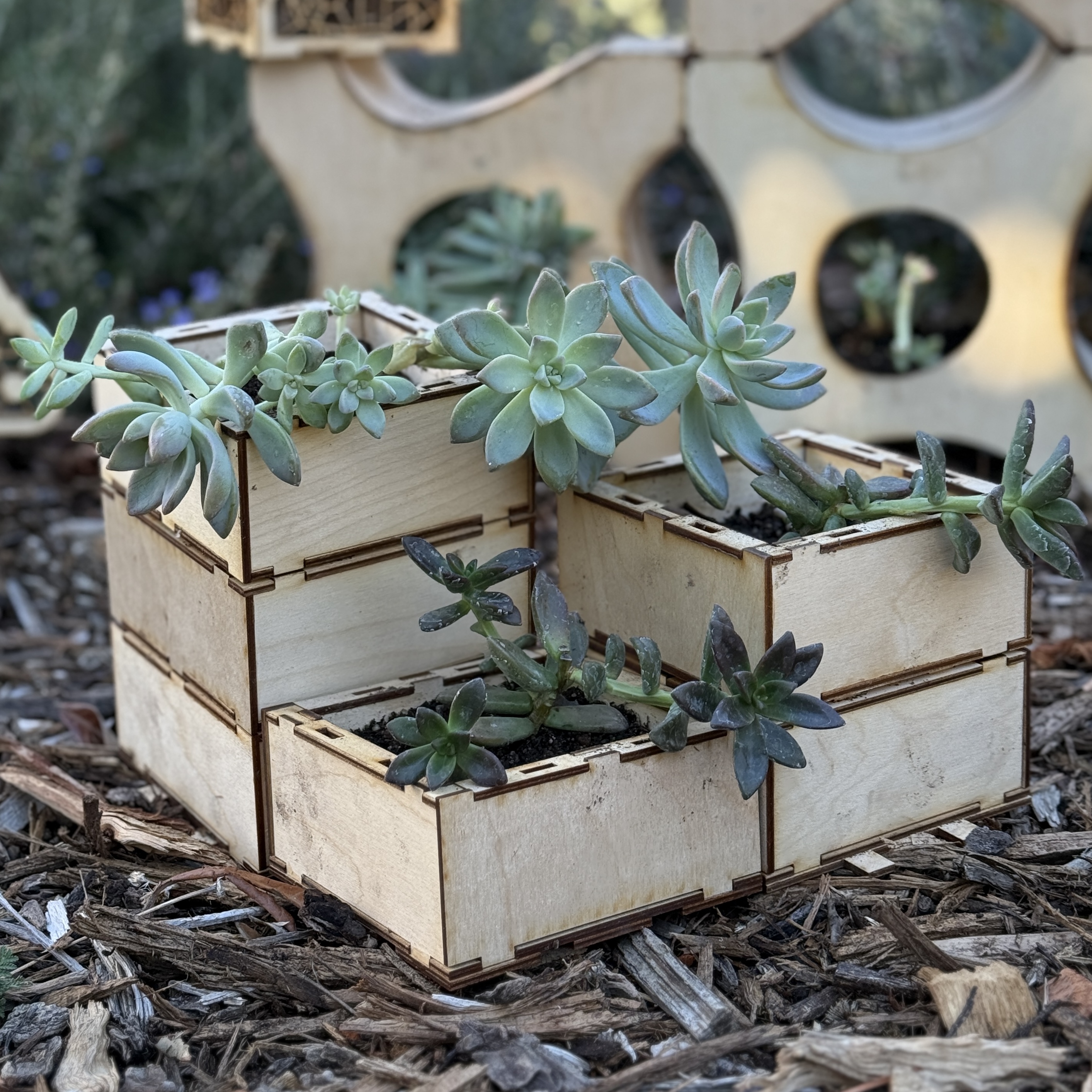 screenshot of project 1