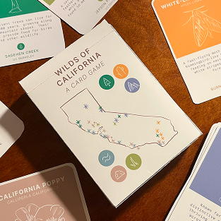 screenshot of project 1