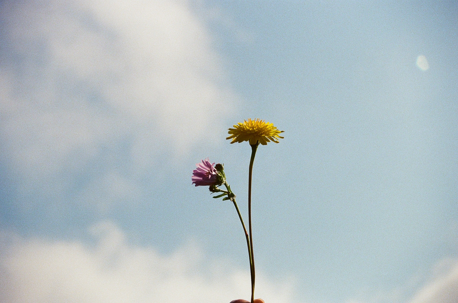 placeholder image for project