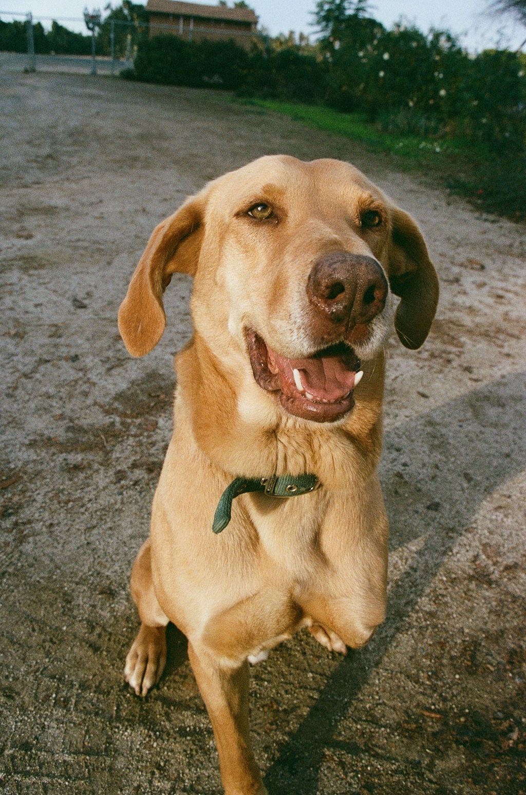 placeholder image for project