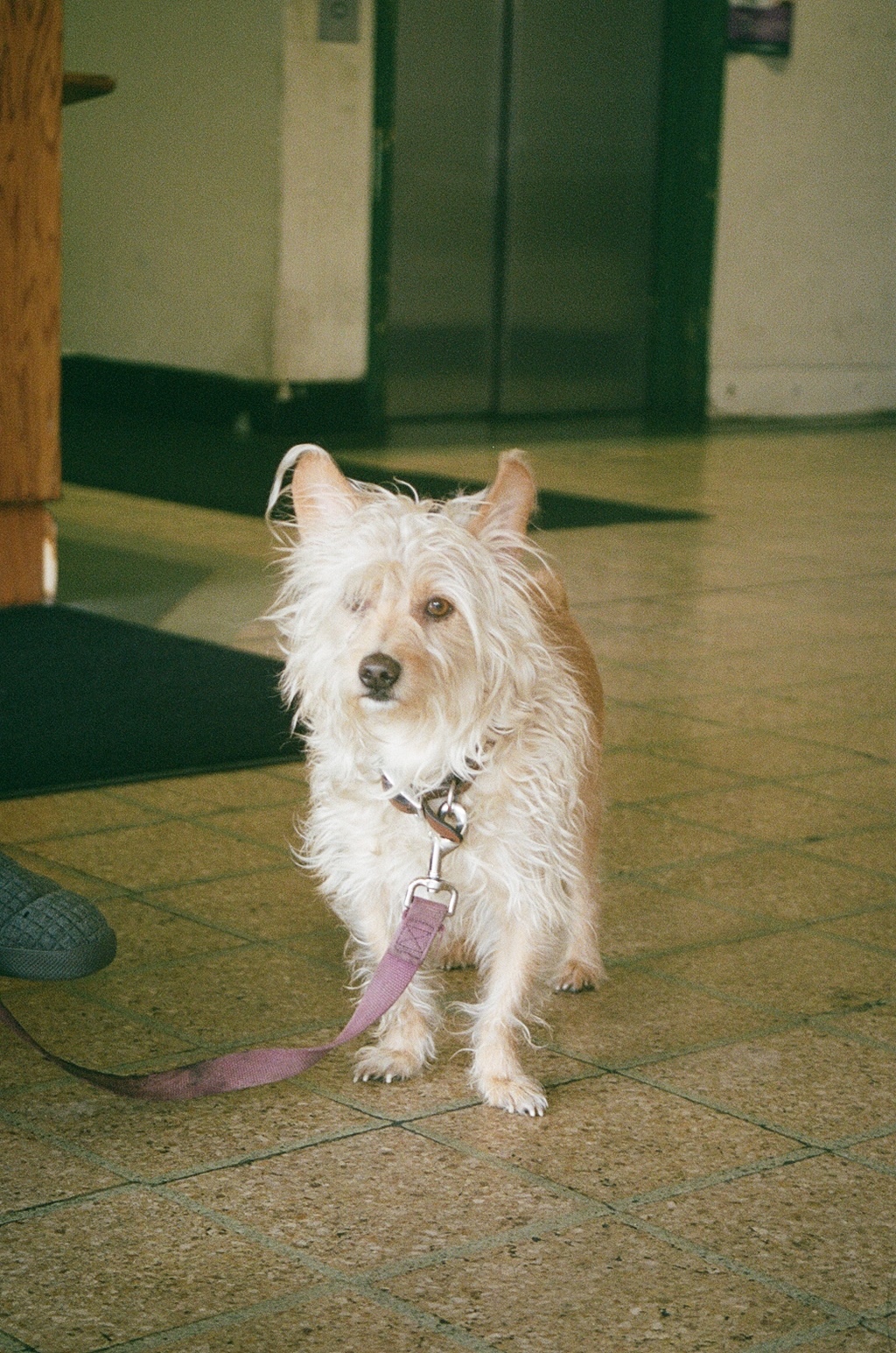 placeholder image for project