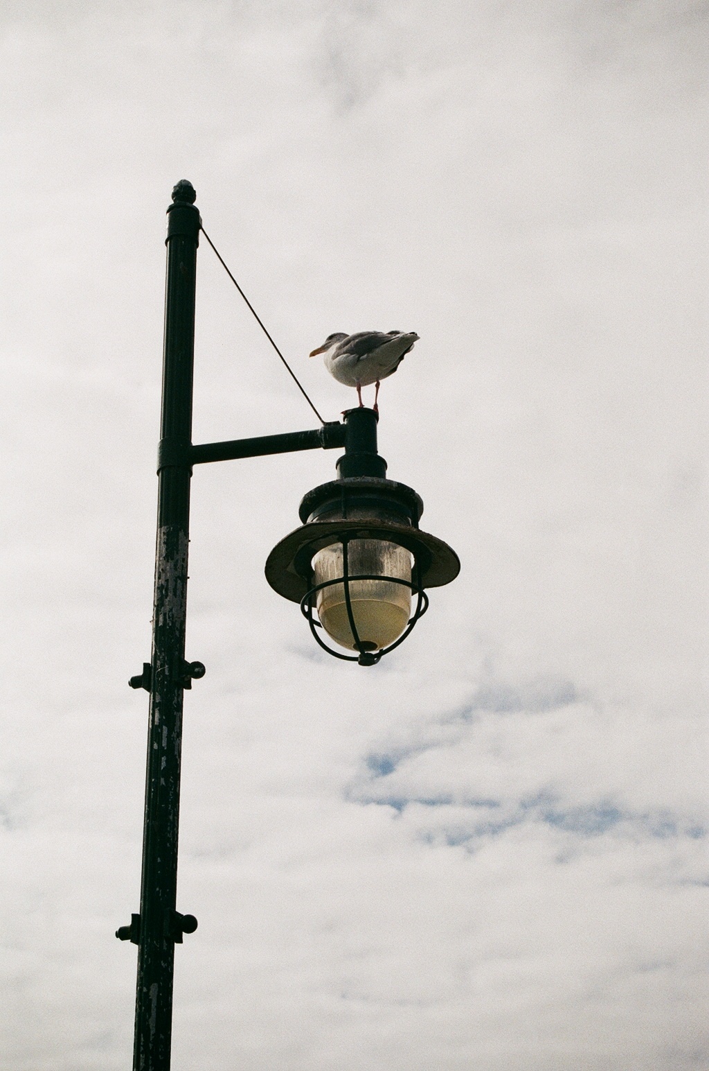 placeholder image for project