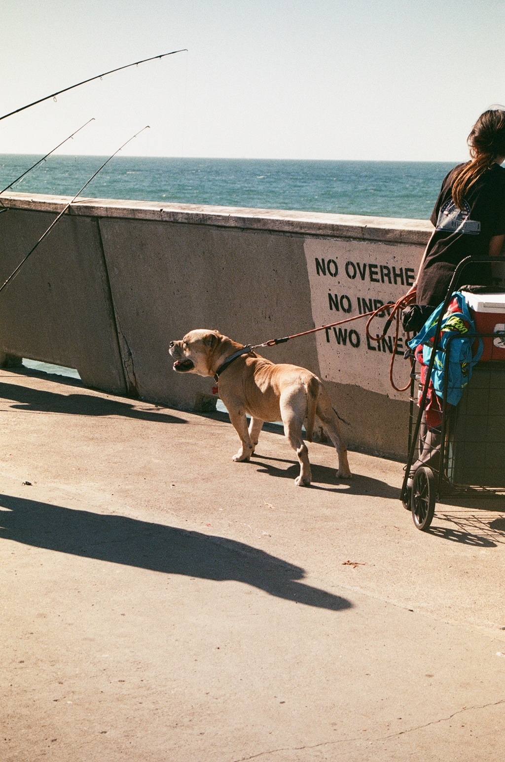 placeholder image for project