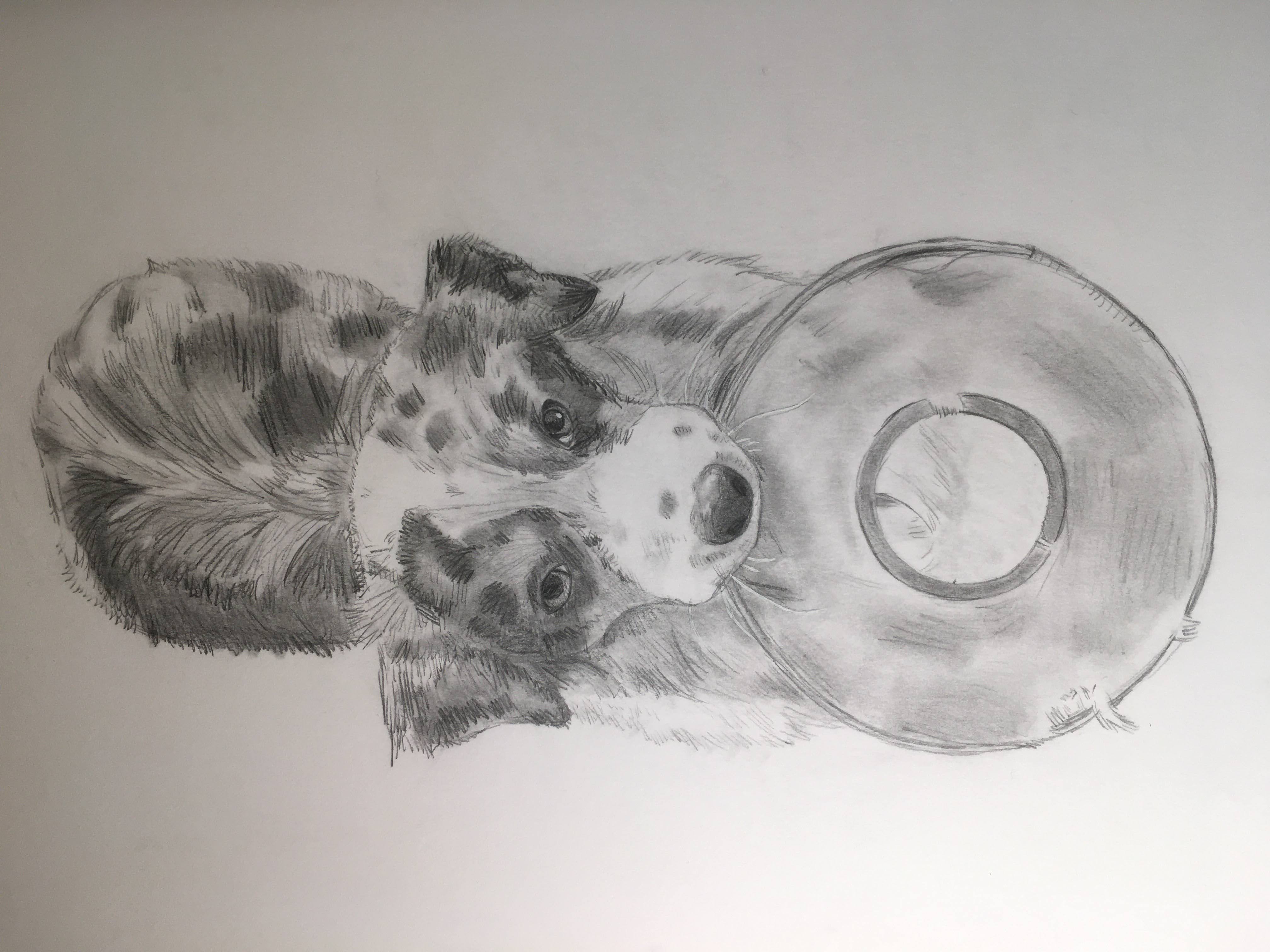 describe what is in this piece