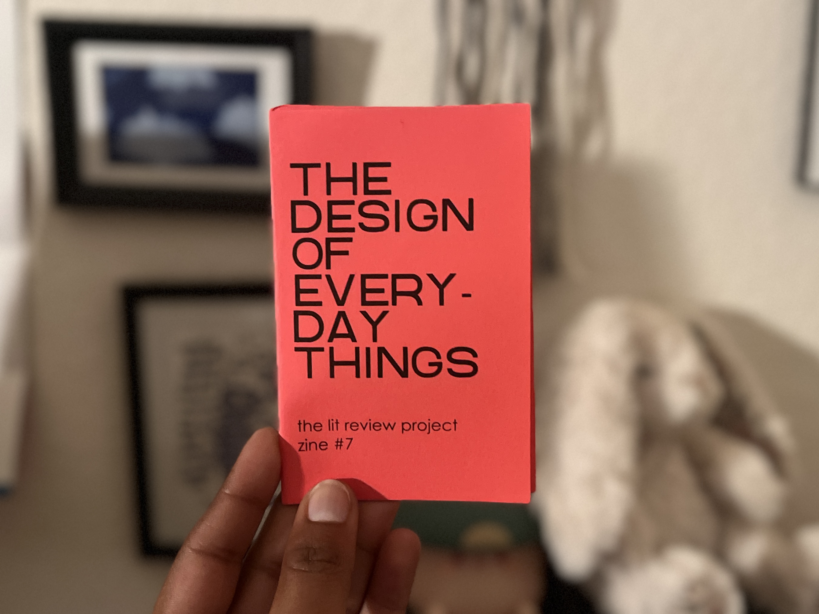 The Design of Everyday Things zine cover