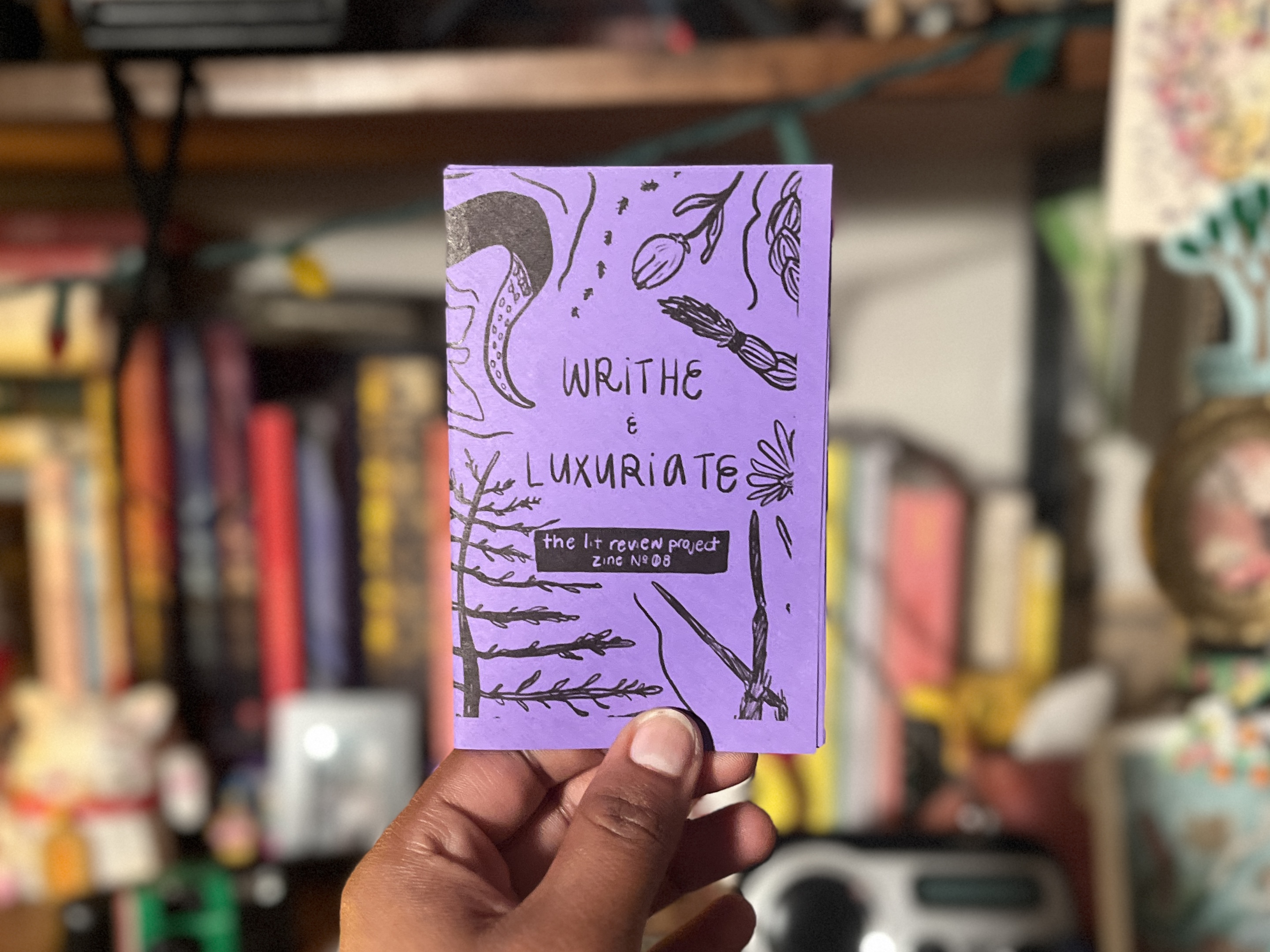 Staying with the Trouble zine cover