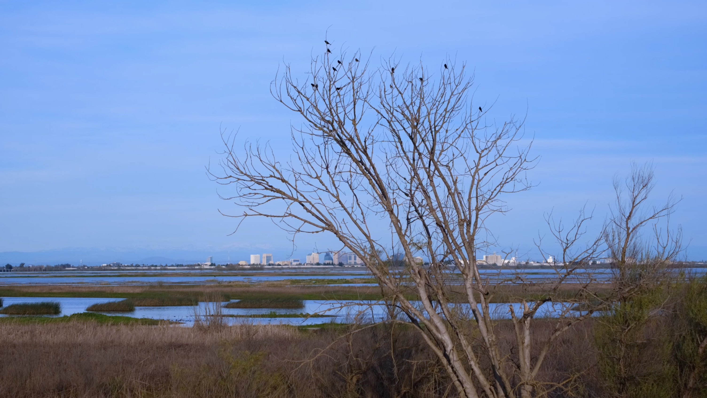 photo of the yolo basin