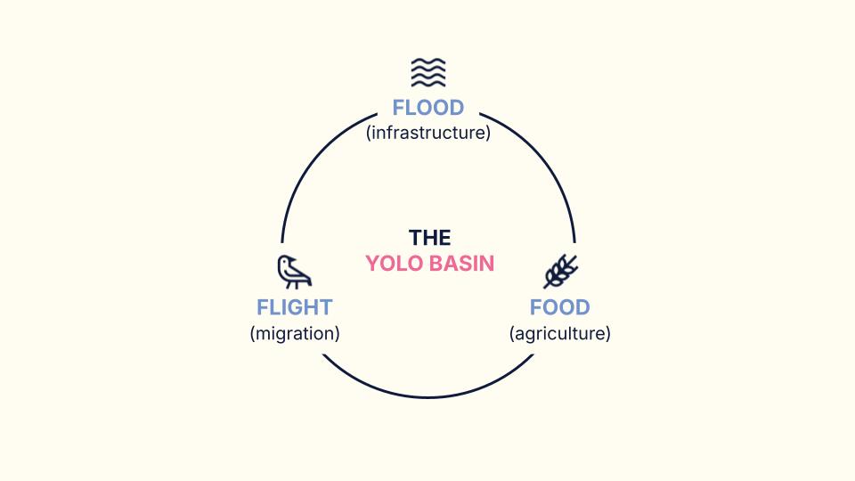 diagram of the three states of the yolo basin