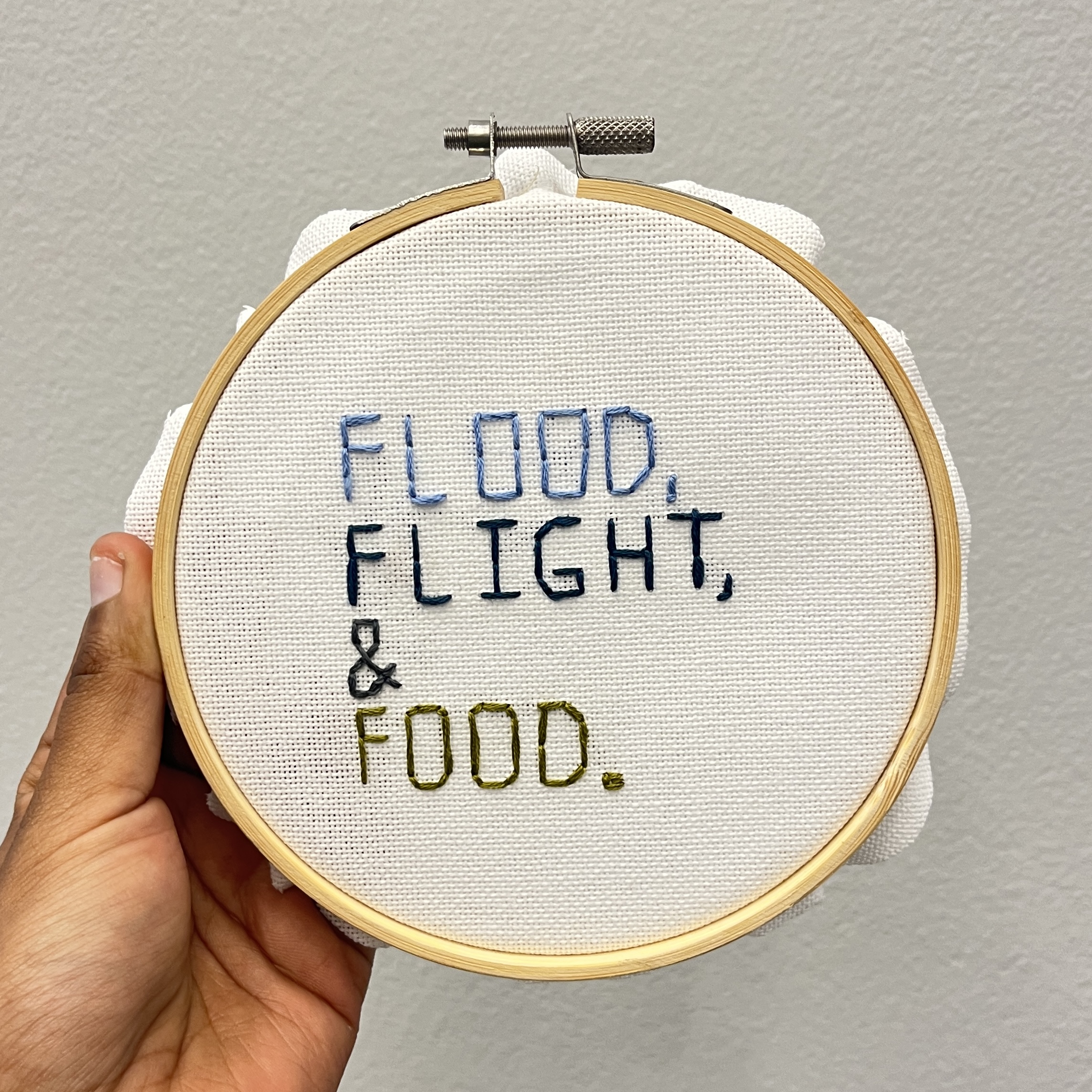 flood flight and food intro hoop