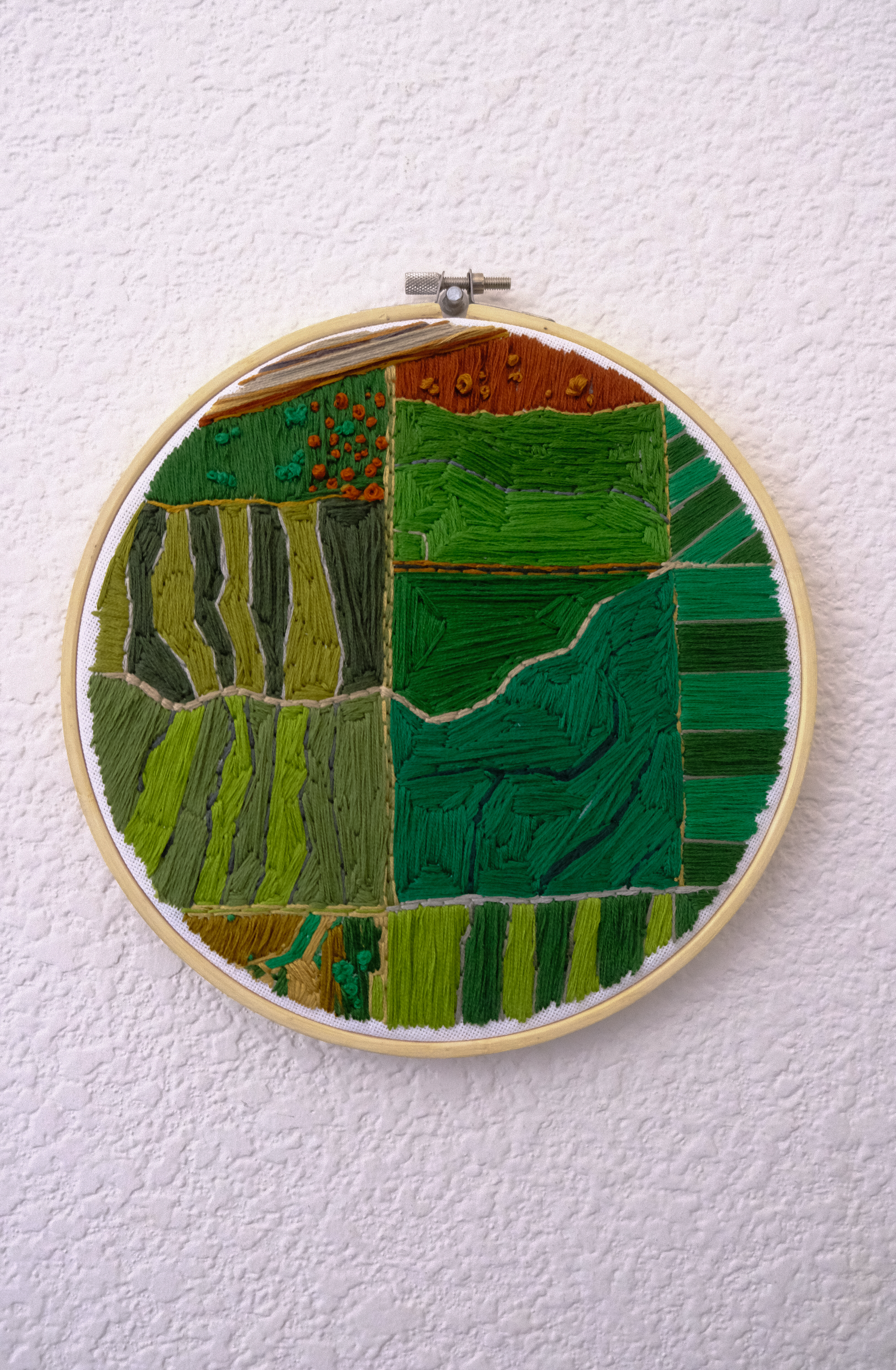 embroidery hoop depicting the yolo basin in lush green state