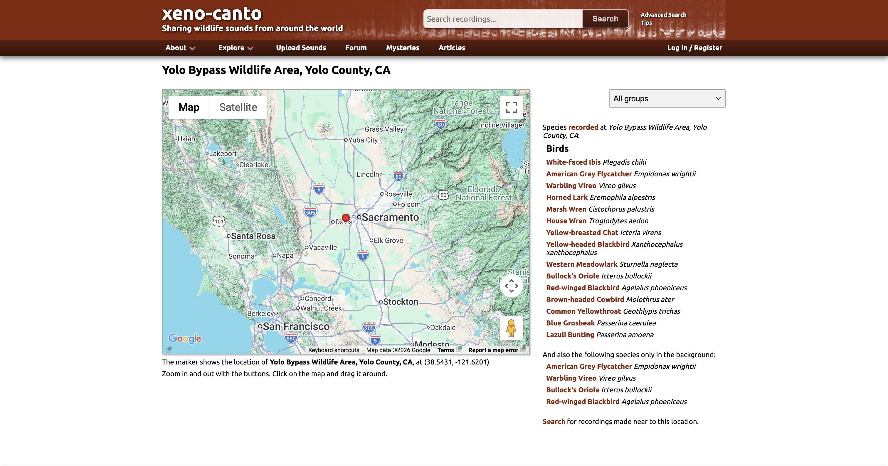 a screenshot of the website xeno canto