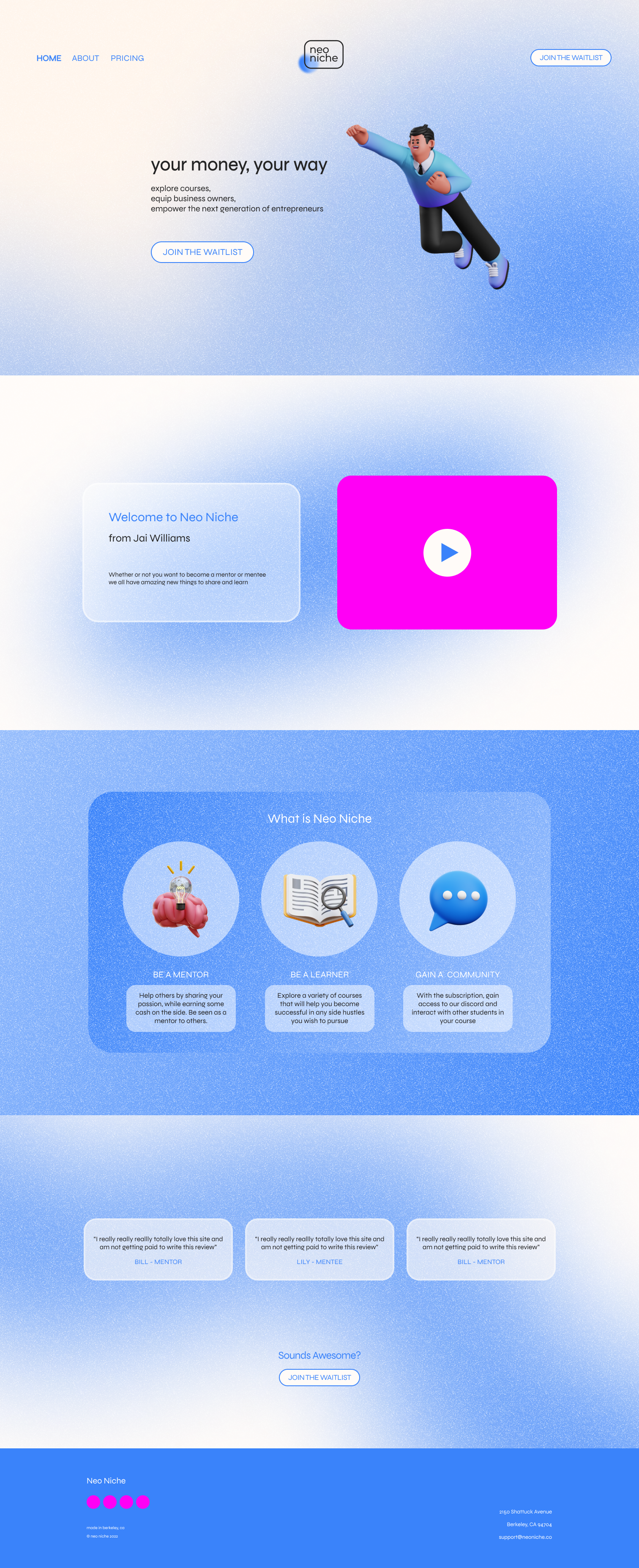homepage concept to for neoniche