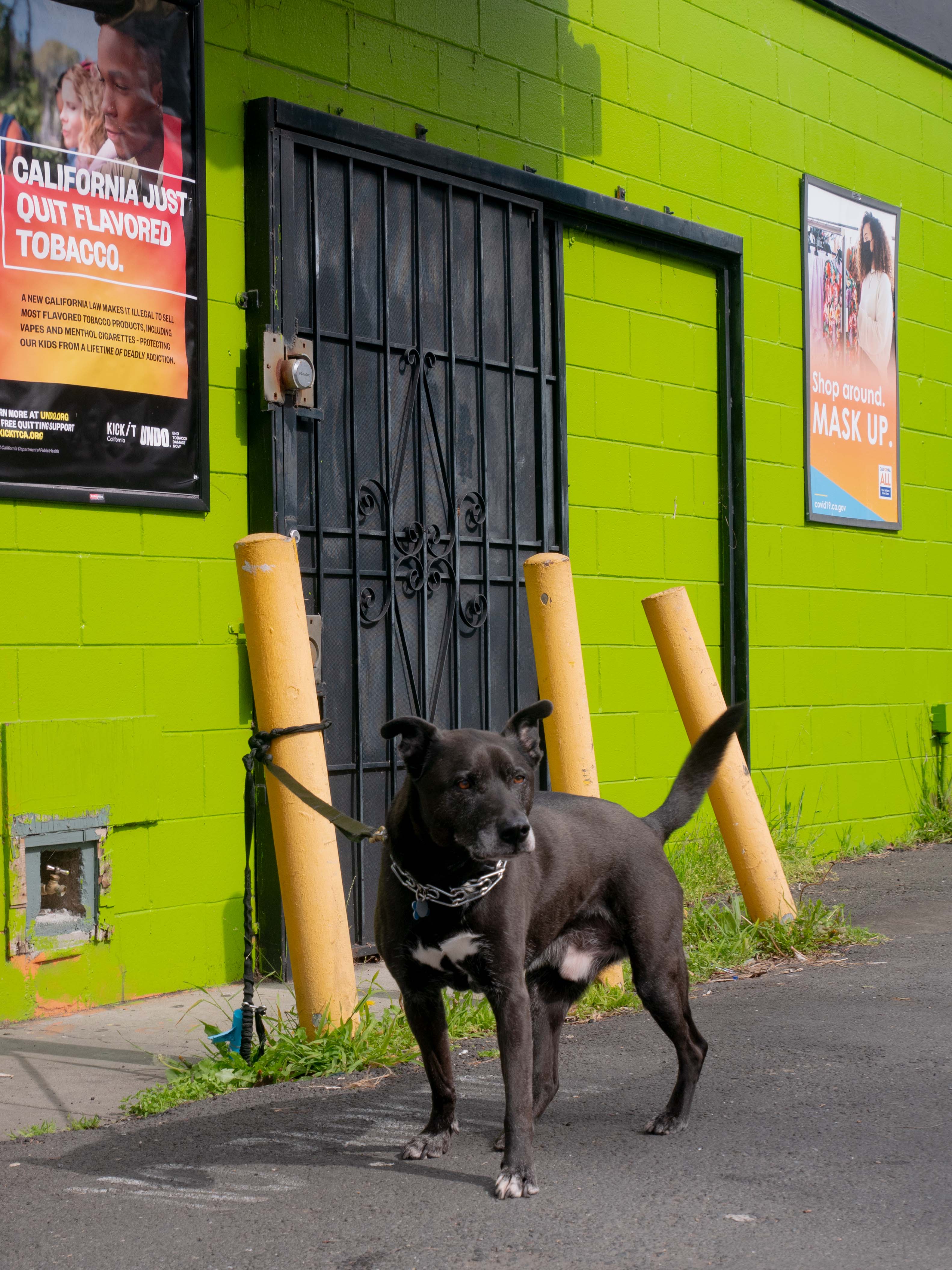 San Pablo Avenue photo