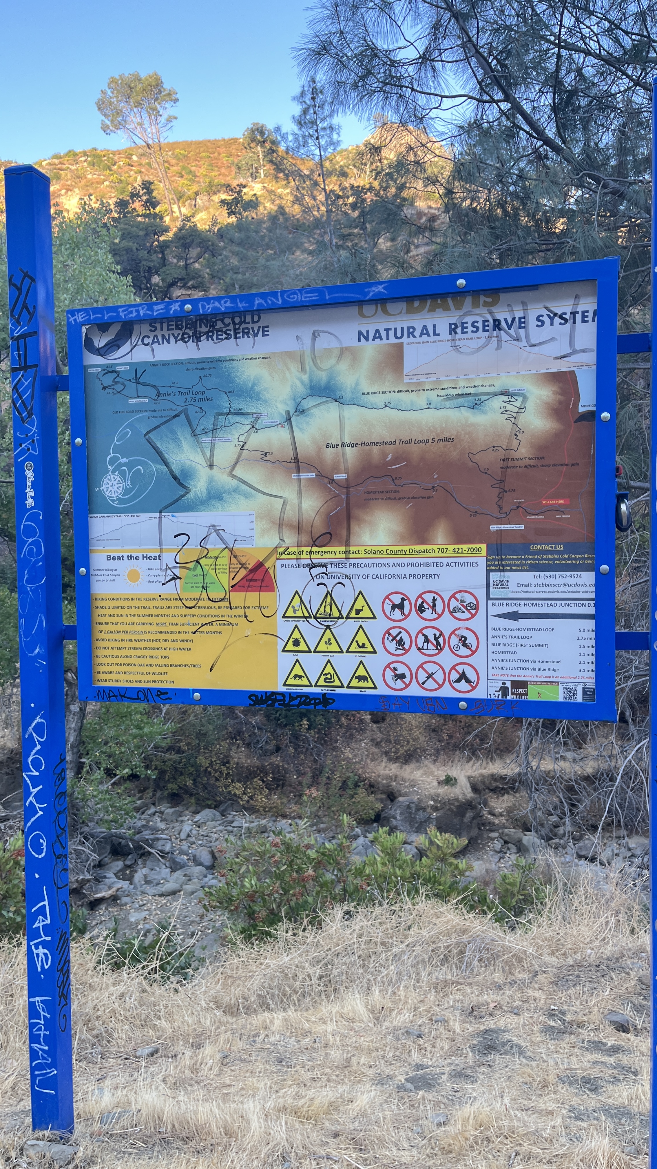 existing trailhead information board, dense and graffitied