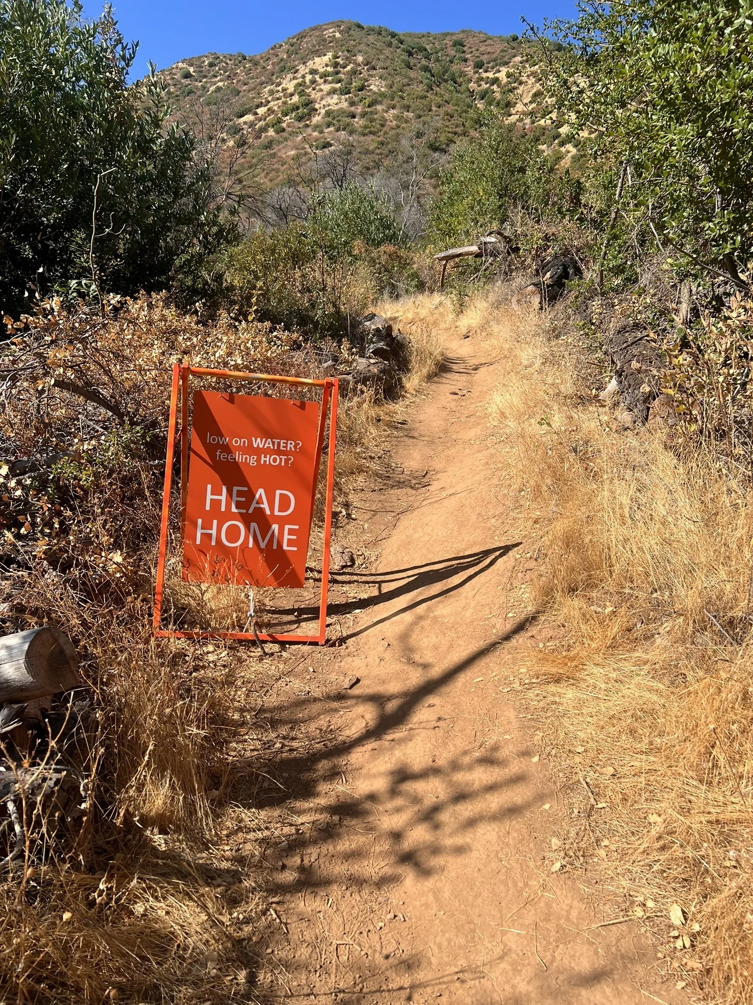 HEAD HOME orange sandwich board sign on a dry summer trail with canyon behind it