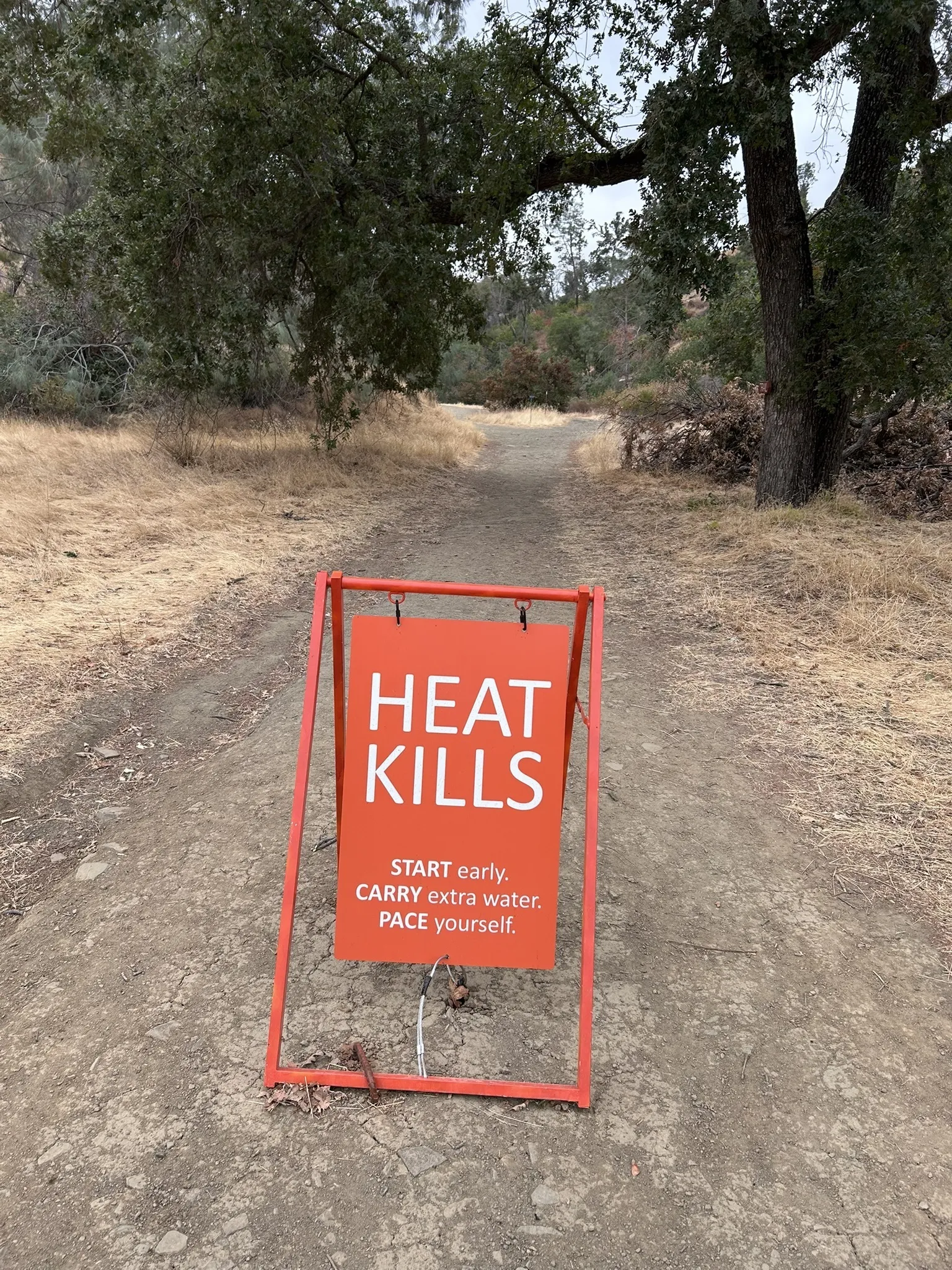 HEAT KILLS sandwich board sign centered on the trail with oak trees behind it