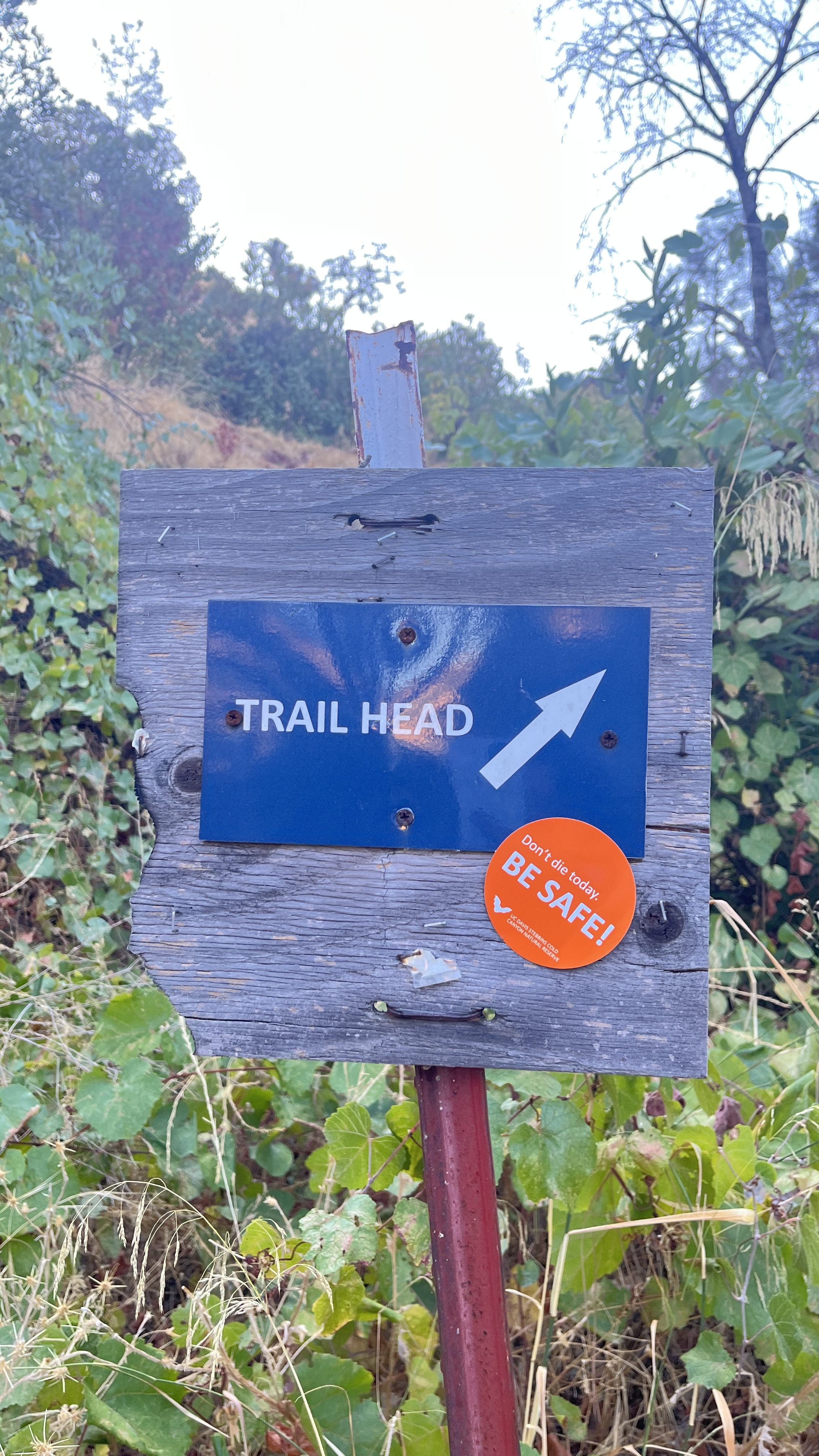 orange BE SAFE sticker on the trailhead post below the trail head sign