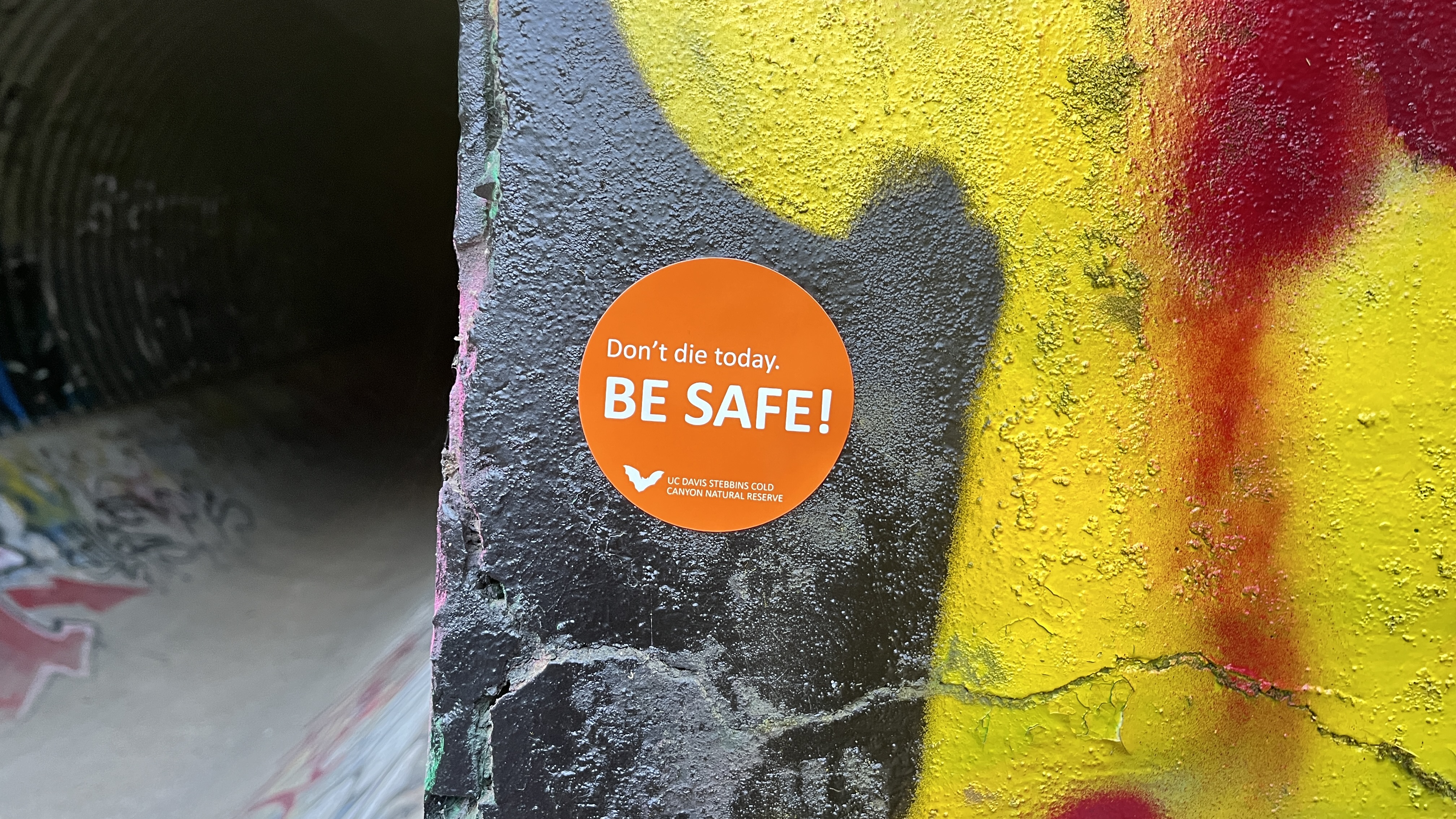 orange BE SAFE sticker on the graffitied tunnel wall on the approach path