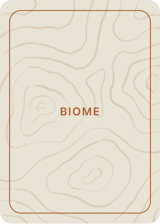 biome card back