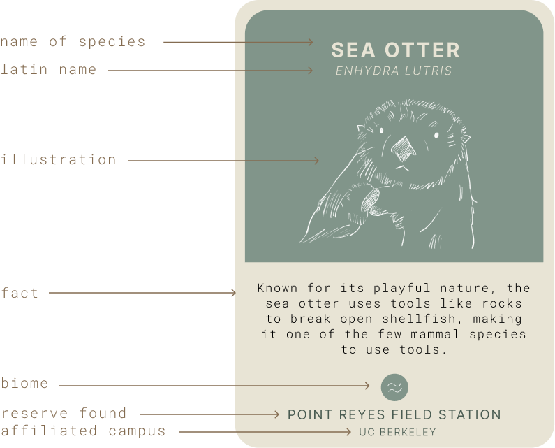 full spread of species cards