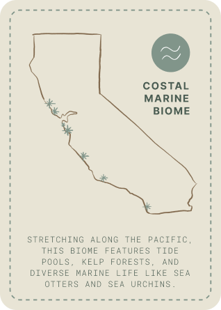 coastal biome card