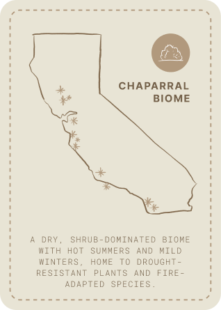 chaparral biome card