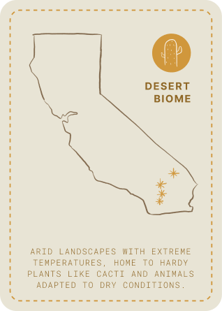 desert biome card
