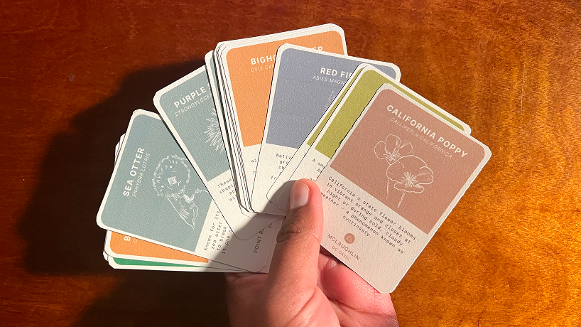 miniture prototype of cards