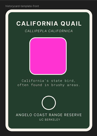 original prototype for species card