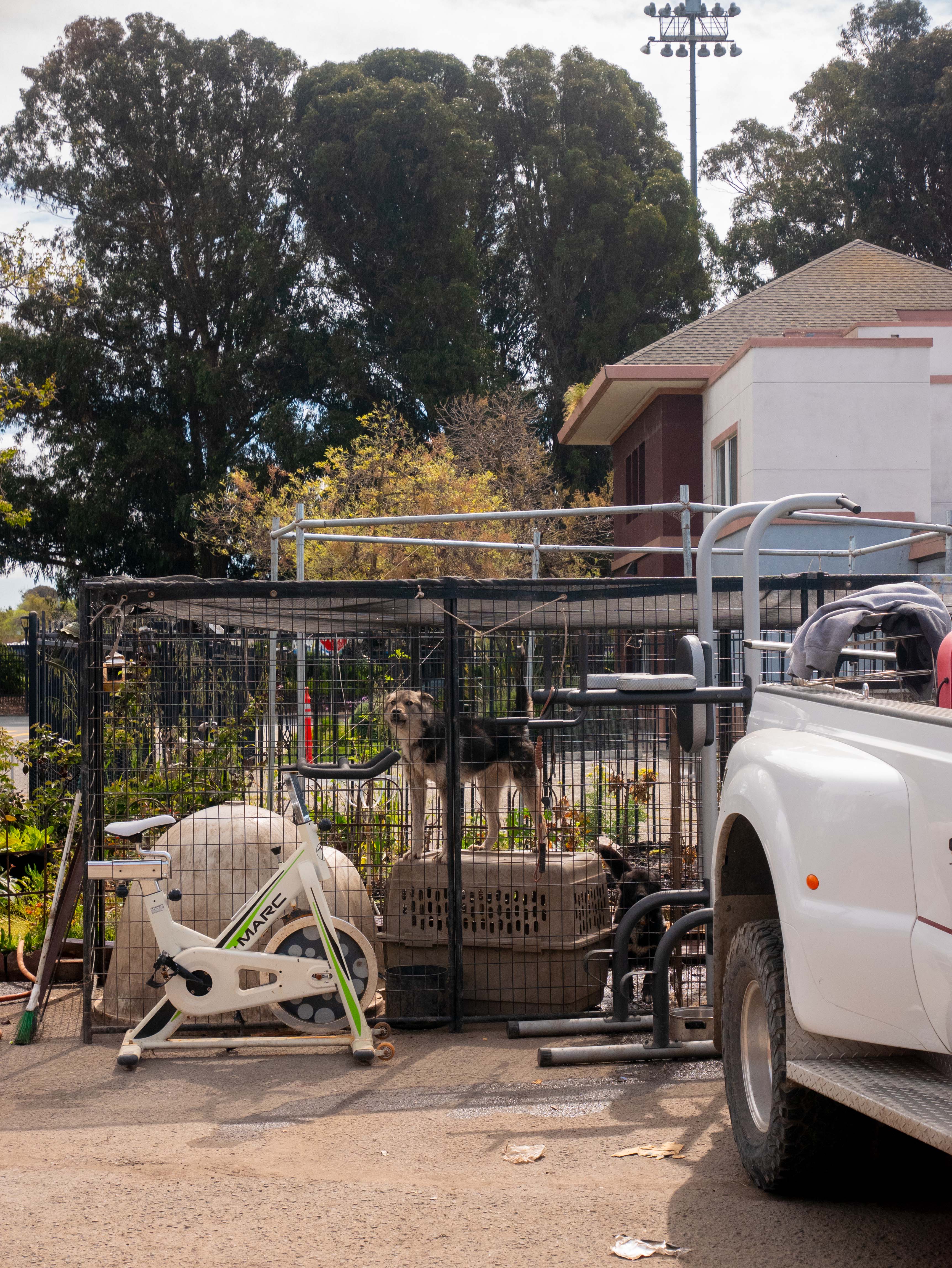 San Pablo Avenue photo